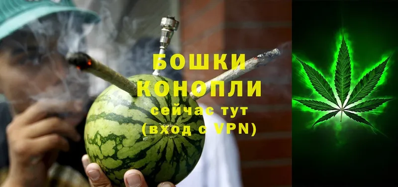 сколько стоит  Пудож  Конопля OG Kush 